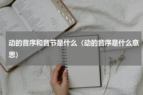 动的音序和音节是什么（动的音序是什么意思）