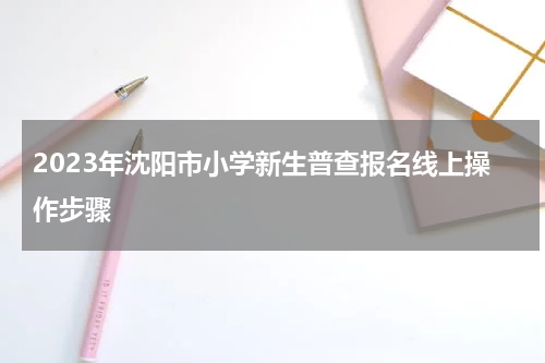 2023年沈阳市小学新生普查报名线上操作步骤