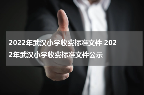 2022年武汉小学收费标准文件 2022年武汉小学收费标准文件公示