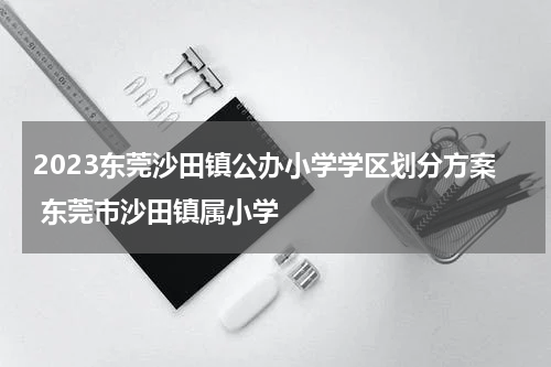 2023东莞沙田镇公办小学学区划分方案 东莞市沙田镇属小学