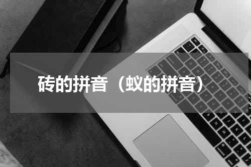 砖的拼音（蚁的拼音）