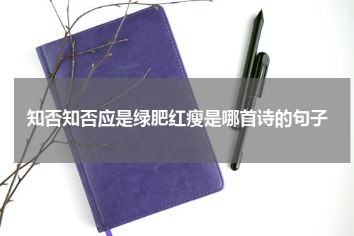 知否知否应是绿肥红瘦是哪首诗的句子