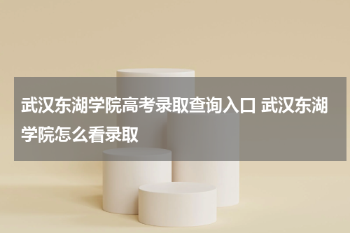 武汉东湖学院高考录取查询入口 武汉东湖学院怎么看录取