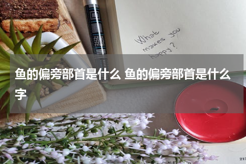 鱼的偏旁部首是什么 鱼的偏旁部首是什么字