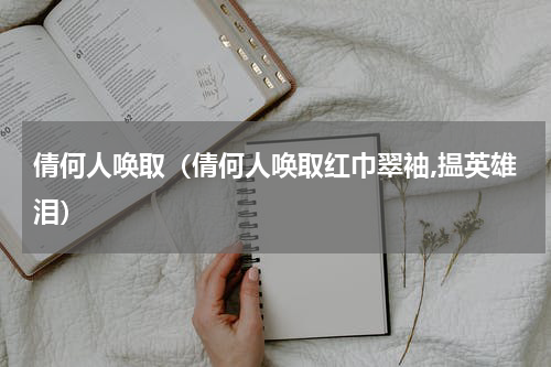 倩何人唤取（倩何人唤取红巾翠袖,揾英雄泪）