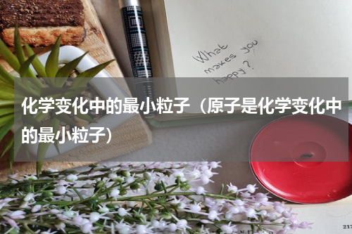 化学变化中的最小粒子（原子是化学变化中的最小粒子）