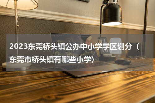 2023东莞桥头镇公办中小学学区划分（东莞市桥头镇有哪些小学）