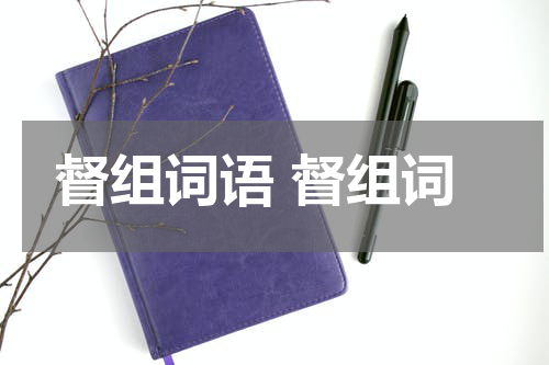 督组词语 督组词