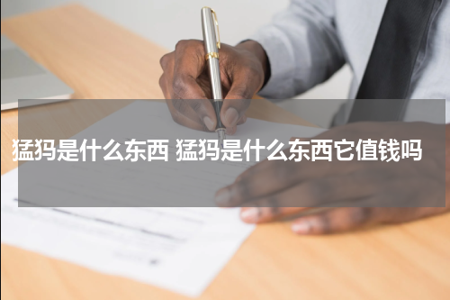 猛犸是什么东西 猛犸是什么东西它值钱吗
