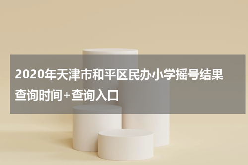2020年天津市和平区民办小学摇号结果查询时间+查询入口