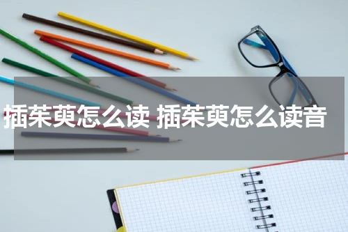 插茱萸怎么读 插茱萸怎么读音
