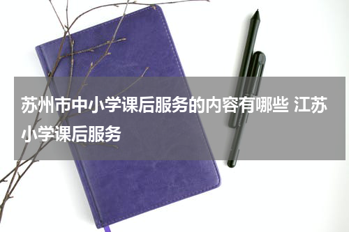 苏州市中小学课后服务的内容有哪些 江苏小学课后服务