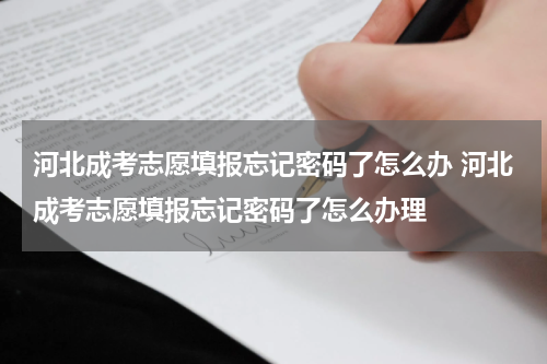 河北成考志愿填报忘记密码了怎么办 河北成考志愿填报忘记密码了怎么办理