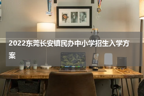 2022东莞长安镇民办中小学招生入学方案