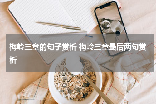 梅岭三章的句子赏析 梅岭三章最后两句赏析