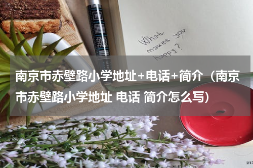 南京市赤壁路小学地址+电话+简介（南京市赤壁路小学地址 电话 简介怎么写）