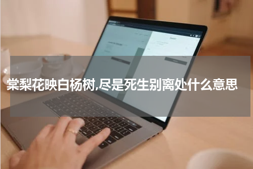 棠梨花映白杨树,尽是死生别离处什么意思