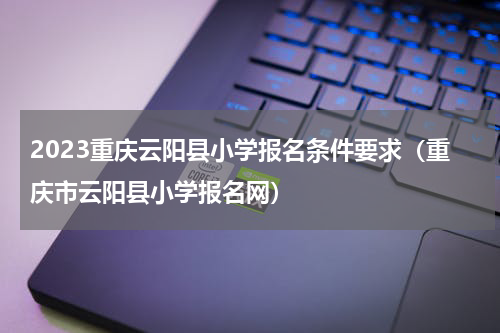 2023重庆云阳县小学报名条件要求（重庆市云阳县小学报名网）