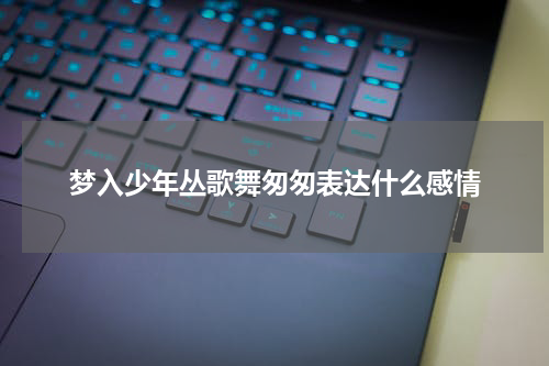 梦入少年丛歌舞匆匆表达什么感情