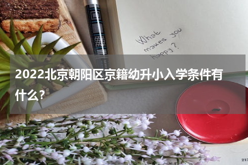 2022北京朝阳区京籍幼升小入学条件有什么？