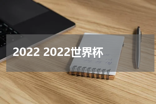 2022 2022世界杯
