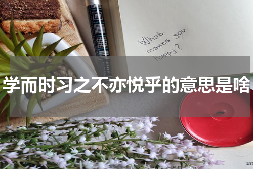 学而时习之不亦悦乎的意思是啥