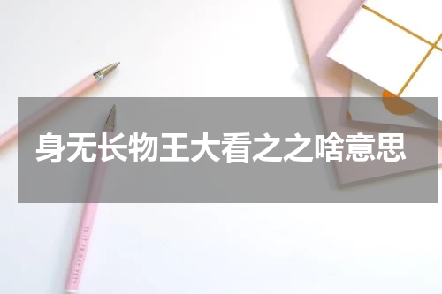 身无长物王大看之之啥意思
