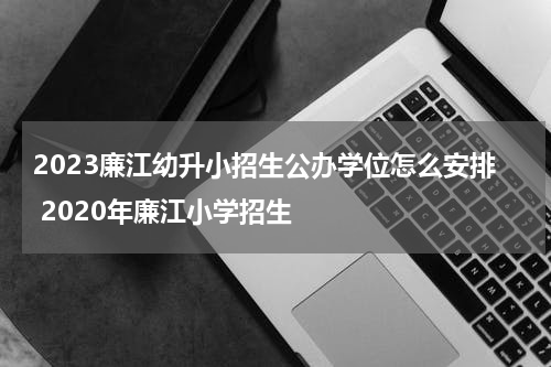 2023廉江幼升小招生公办学位怎么安排 2020年廉江小学招生