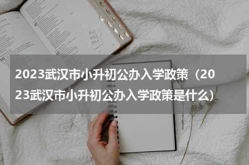 2023武汉市小升初公办入学政策（2023武汉市小升初公办入学政策是什么）