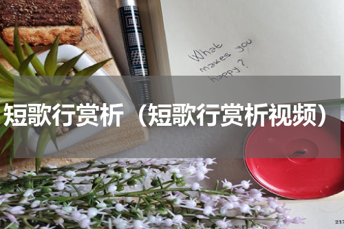 短歌行赏析（短歌行赏析视频）