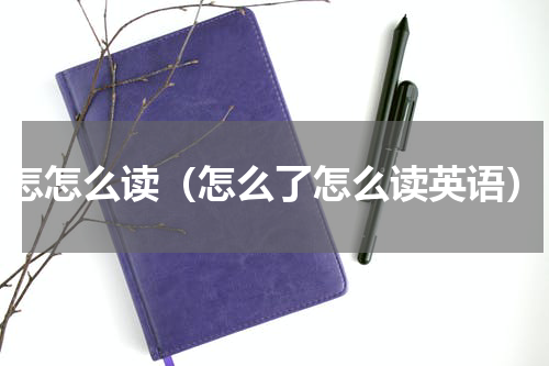 怎怎么读（怎么了怎么读英语）