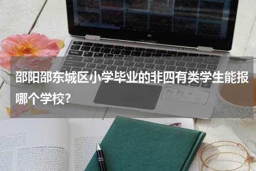 邵阳邵东城区小学毕业的非四有类学生能报哪个学校？