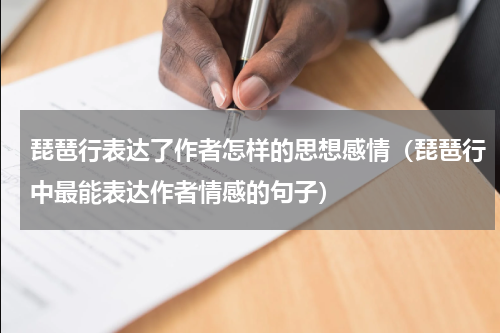 琵琶行表达了作者怎样的思想感情（琵琶行中最能表达作者情感的句子）