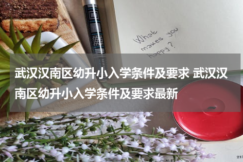 武汉汉南区幼升小入学条件及要求 武汉汉南区幼升小入学条件及要求最新