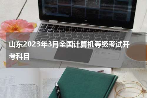 山东2023年3月全国计算机等级考试开考科目