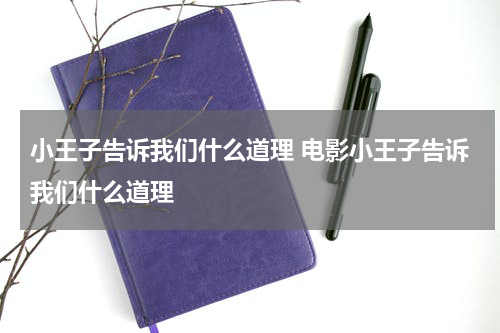 小王子告诉我们什么道理 电影小王子告诉我们什么道理