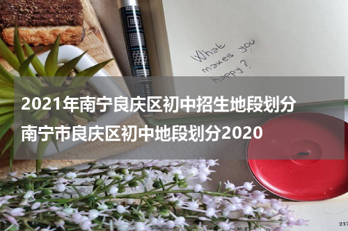 2021年南宁良庆区初中招生地段划分 南宁市良庆区初中地段划分2020