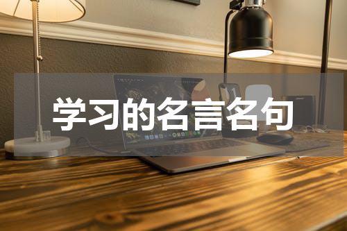 学习的名言名句