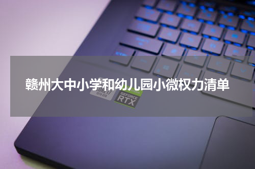 赣州大中小学和幼儿园小微权力清单