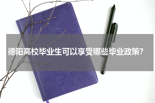 德阳高校毕业生可以享受哪些毕业政策？