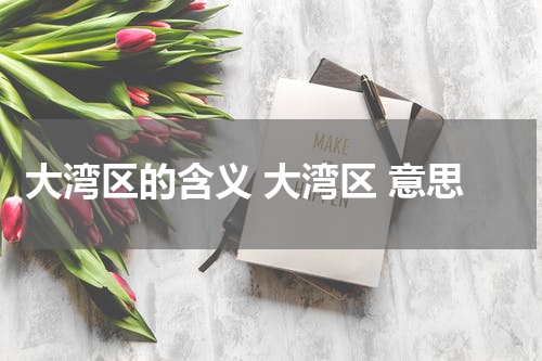 大湾区的含义 大湾区 意思
