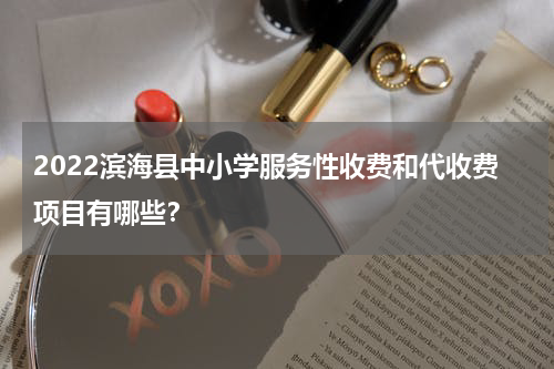 2022滨海县中小学服务性收费和代收费项目有哪些？