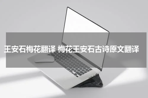 王安石梅花翻译 梅花王安石古诗原文翻译