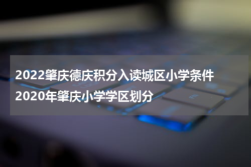 2022肇庆德庆积分入读城区小学条件 2020年肇庆小学学区划分