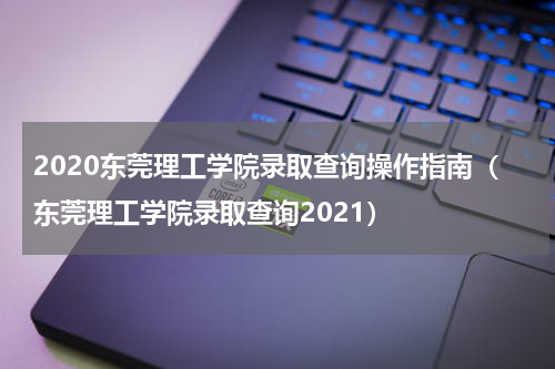 2020东莞理工学院录取查询操作指南（东莞理工学院录取查询2021）
