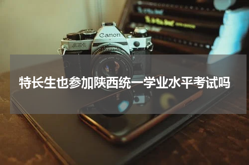 特长生也参加陕西统一学业水平考试吗