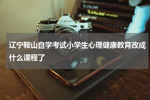 辽宁鞍山自学考试小学生心理健康教育改成什么课程了