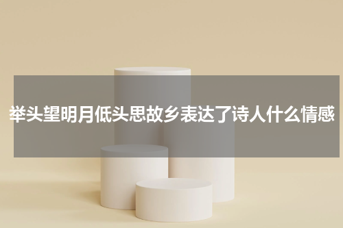 举头望明月低头思故乡表达了诗人什么情感