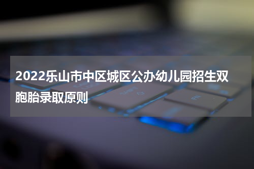 2022乐山市中区城区公办幼儿园招生双胞胎录取原则