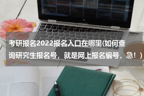 考研报名2022报名入口在哪里(如何查询研究生报名号，就是网上报名编号，急！)